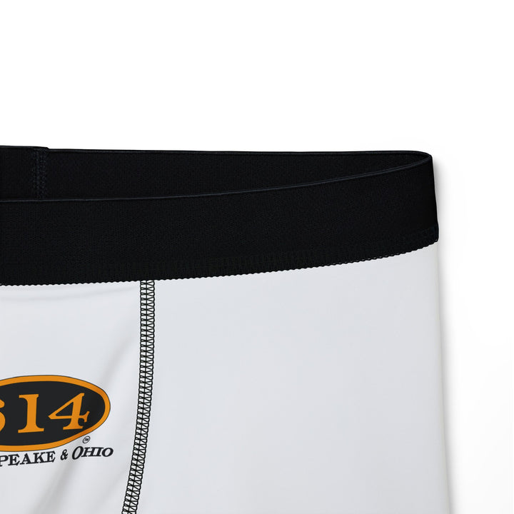 C&O 614 Chesapeake & Ohio Logo Men's Boxer Briefs - Novelty Train Emblem Underwear