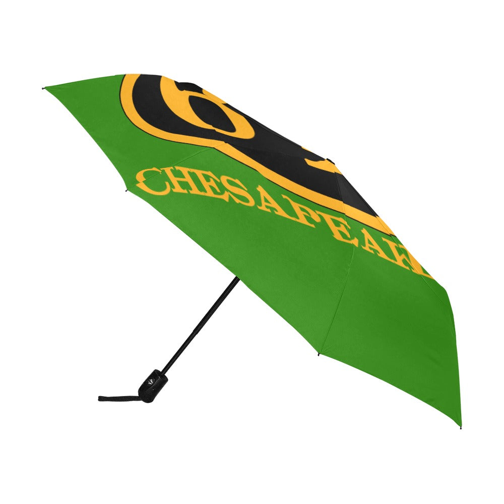 C&O 614 Number Plate Logo Auto-Folding Umbrella