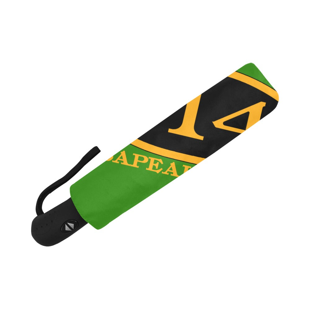 C&O 614 Number Plate Logo Auto-Folding Umbrella