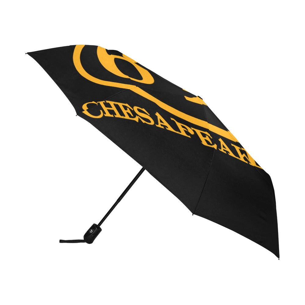 C&O 614 Number Plate Logo Auto-Folding Umbrella