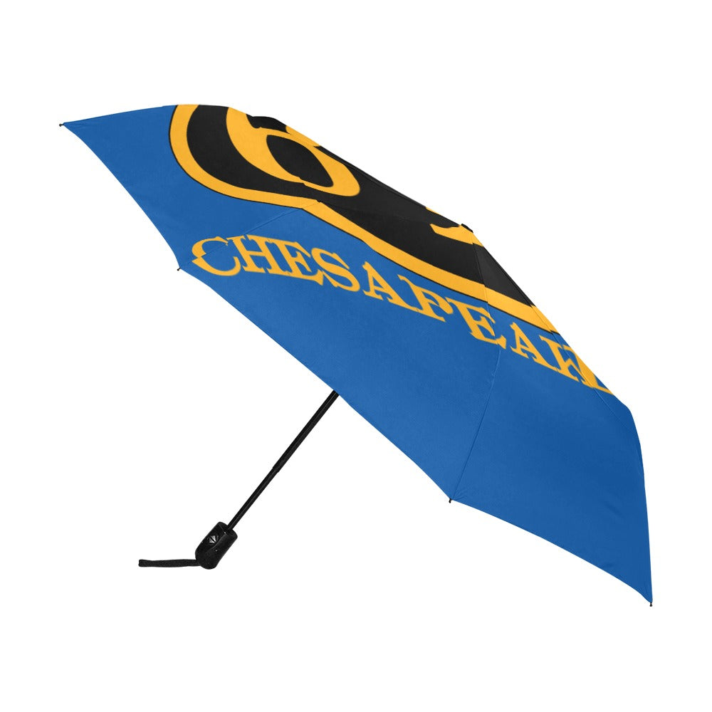 C&O 614 Number Plate Logo Auto-Folding Umbrella