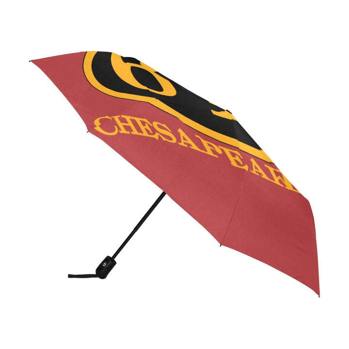 C&O 614 Number Plate Logo Auto-Folding Umbrella