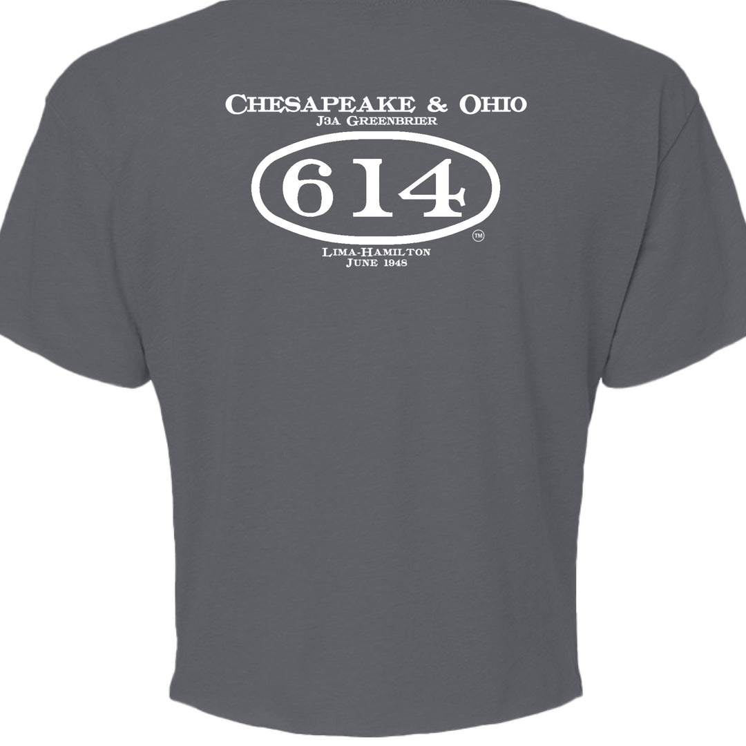 ANTIQUE DENIM - BACK