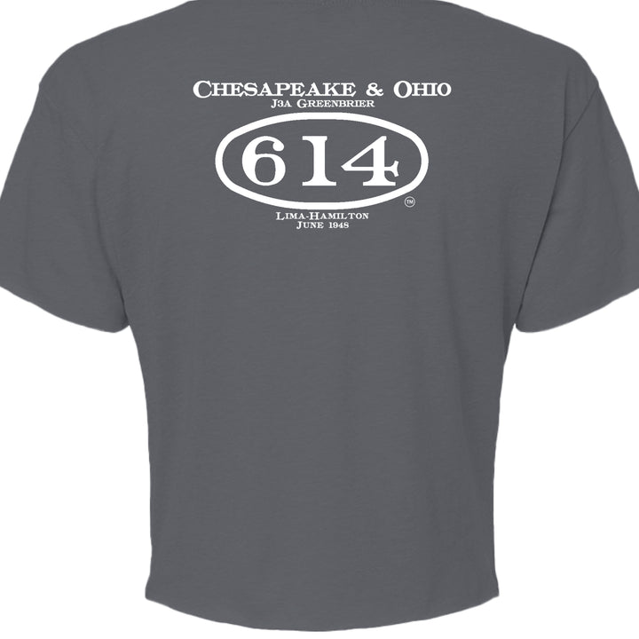 ANTIQUE DENIM - BACK