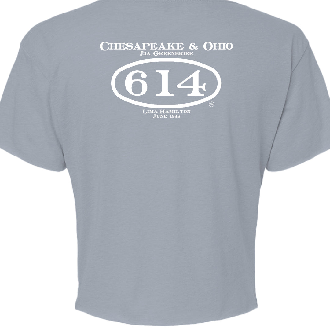 STONEWASH DENIM - BACK