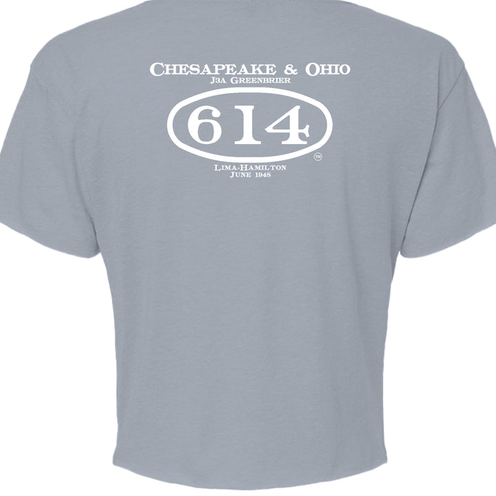 STONEWASH DENIM - BACK