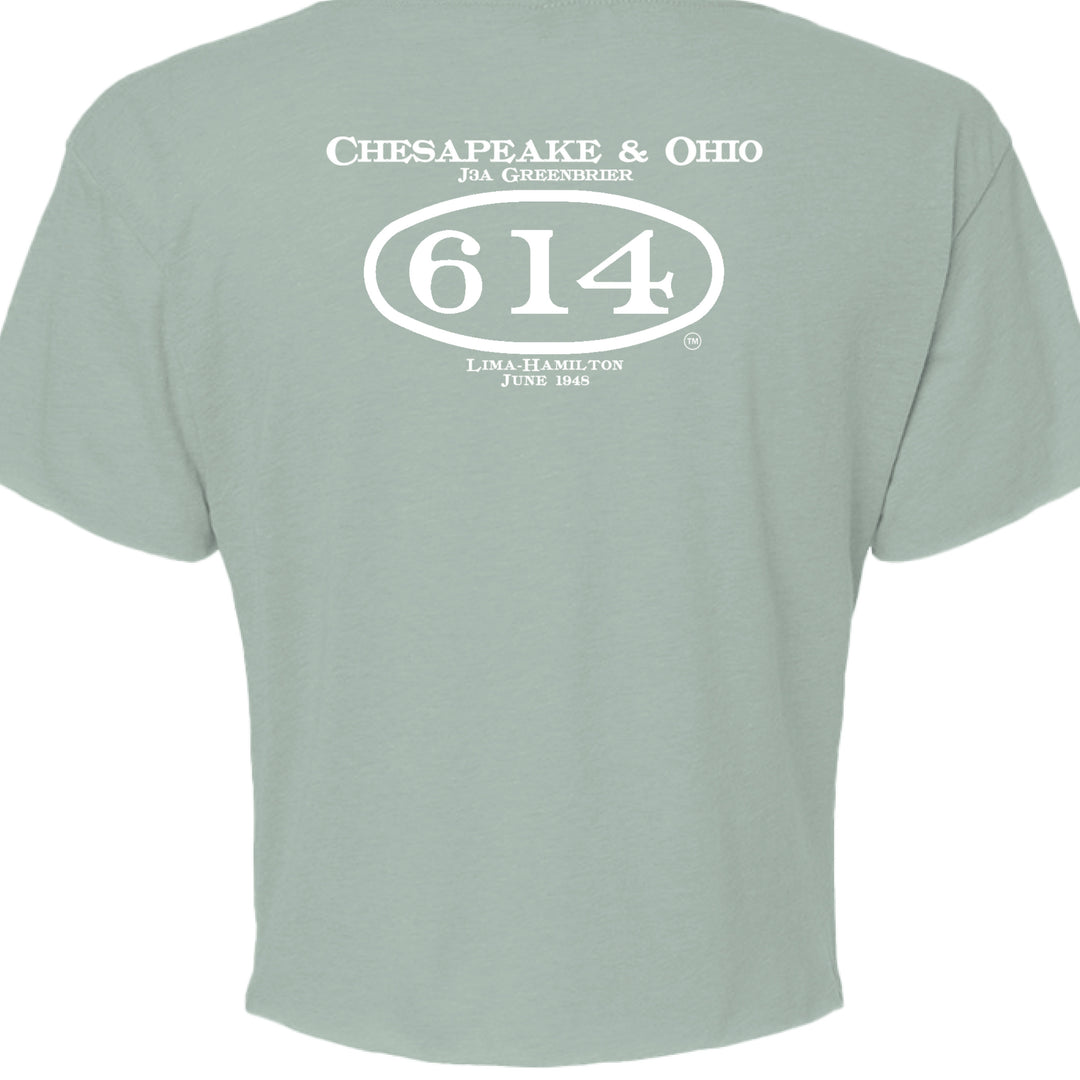 STONEWASH GREEN - BACK