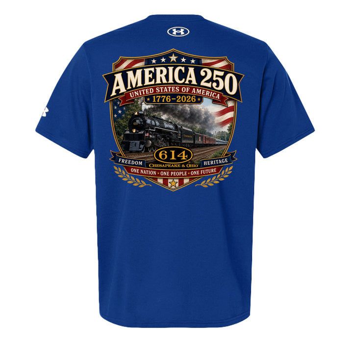 Royal/ White - 1383264 - BACK